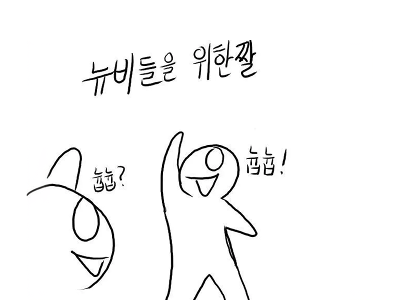 정치 초짜