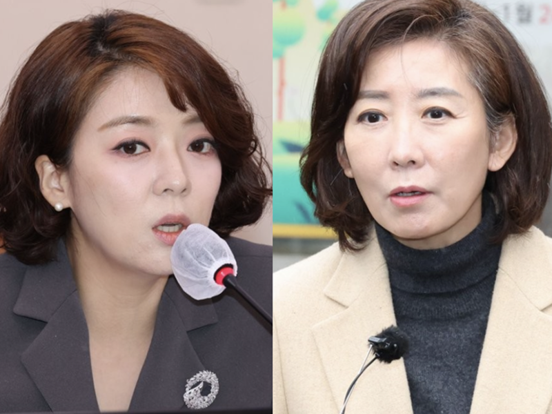 나경원, 배현진