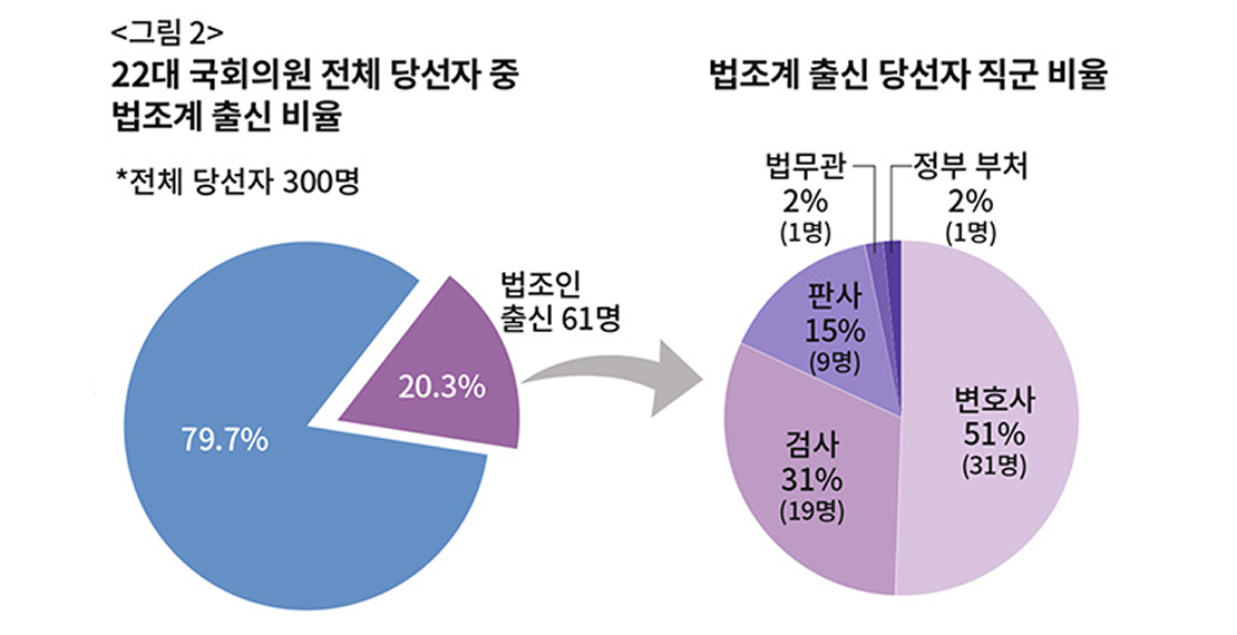 법조인 정치